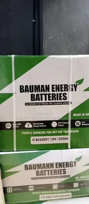 220ah Bauman Tall Tubula Battery