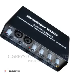 Sound Card Birdsinger Bs202