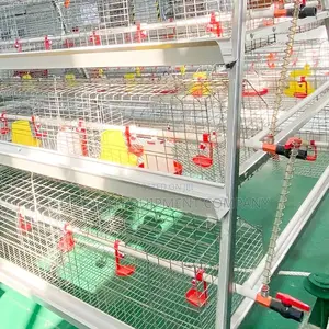 Brooding Imported 120 Birds Broiler Cage,Chicken Feeders