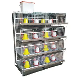 160 Broiler Cage H Type Cage Imported Type