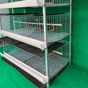 20+ Years Imported H Type 120 Capacity Cage for Broiler