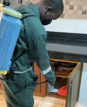 Get Rid of Roaches, Professional Fumigation Service