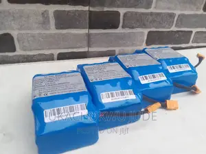 Original Hoverboard Batteries