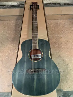 Quality Diono Pure Acoustic Guitar