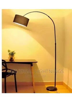 Special Curved Lamp