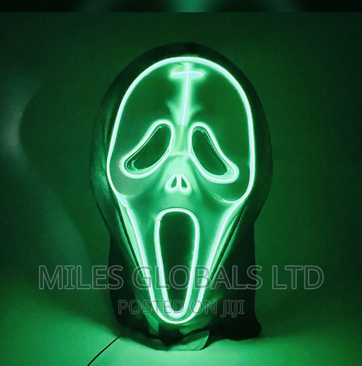 LED Face Mask