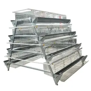 4 Tier 160 Birds Imported Cage 20 Years Lifespan