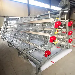 Fully Automated Cage for 120 Layers With Auto Feeding Etc