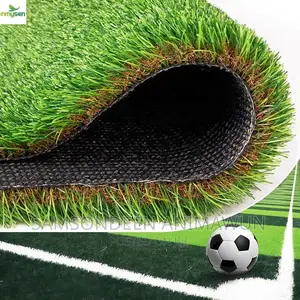 Artificial Grass