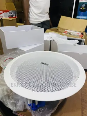 40watts Ceiling Speakers