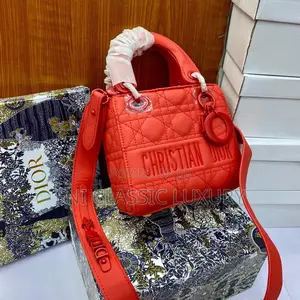 Christian Dior Luxury Bags for Women Available in Store