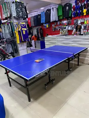 Quality SMC Outdoor Table Tennis