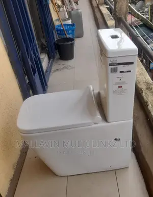 Toilet Seat and Basin Complete Set (Wc)