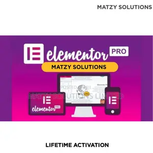 Elementor PRO Wordpress Plugin (Lifetime Activation)