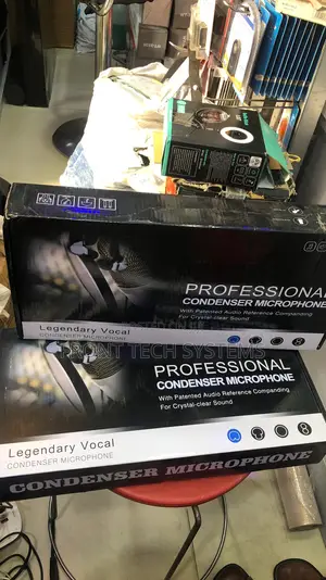 Legendary Vocal Condenser Microphone