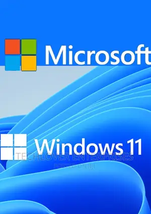 Windows 11 Pro 1 User