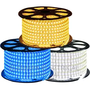 Led Strip Light RGB SMS 50m Rope Light
