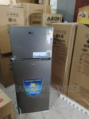 Low Noise LG (Gc 389)Top Freezer Refrigerator+Shelves