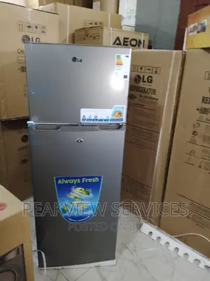 Quality Lg-Gc 389 Double Door Refrigerator With Shelves
