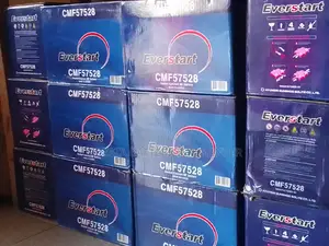 Everstart 75ah Car Battery