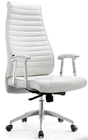 Unique Executive Recliner Chair