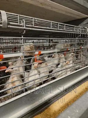 Battery Cages Poultry Cages