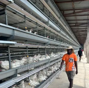 Battery Cage Poultry Cage