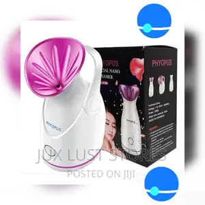 Mini Facial Steamer