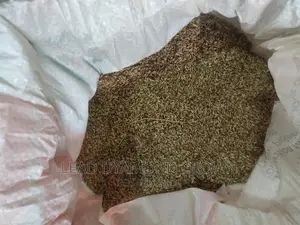 Brachiaria Ruziziensis Grass Seeds