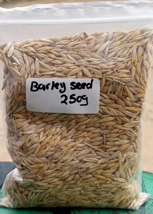 Barley Organic Grains 250g