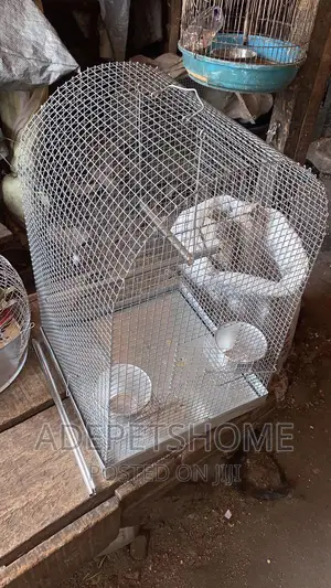 Parrot Cage for Sale