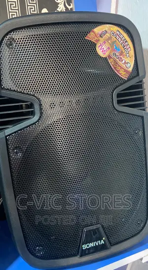 SONOK 12'' Bluetooth Rechargeable Public Address System
