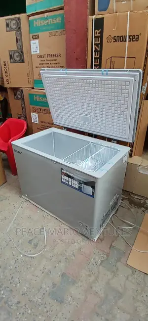 Skyrun Original Deep Freezer 300litres With 2years Warranty