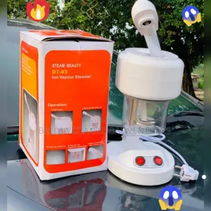 Quality Mini Facial Steamer
