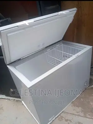 Hisense Freezer 250l
