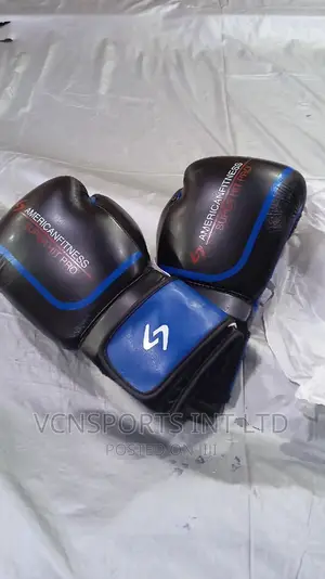 American Fitness Boxing Gloves