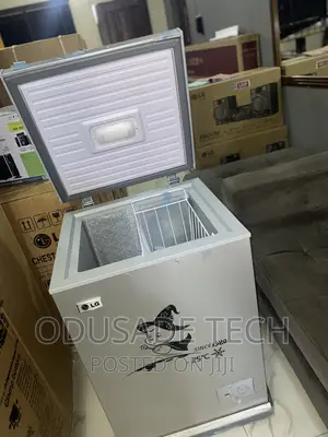 LG Gc160 100liters Chest Freezer