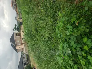 Very Large Commercial Land at Bourdillon