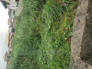 Pure Residential Land at Ikoya Avenue Off Queens Drive