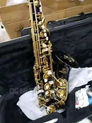 Black Gold Alto Saxophone