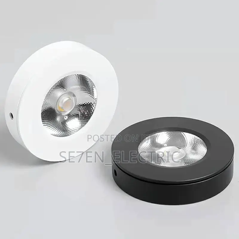 Ceiling Surface Mounting/Parapet Light .