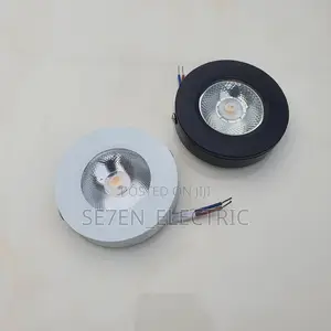 Ceiling Surface Mounting/Parapet Light .