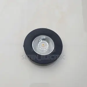 Ceiling Surface Mounting/Parapet Light .