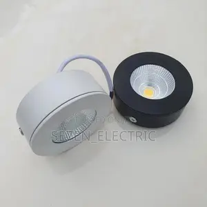 Ceiling Surface Mounting/ Parapet Light
