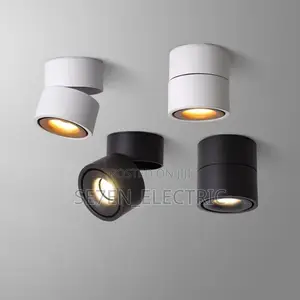 Ceiling Surface Mounting Cob Led Downlight.10W/15W