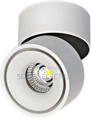 Ceiling Surface Mounting Cob Led Downlight.10W/15W