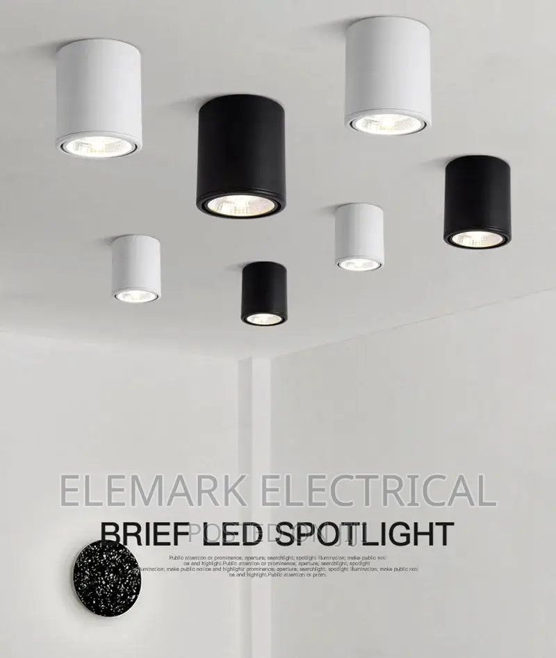 COB Surface Mounted Ceiling Lamp