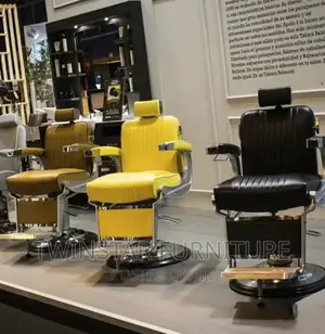 New Modern Leather Salon Chairs