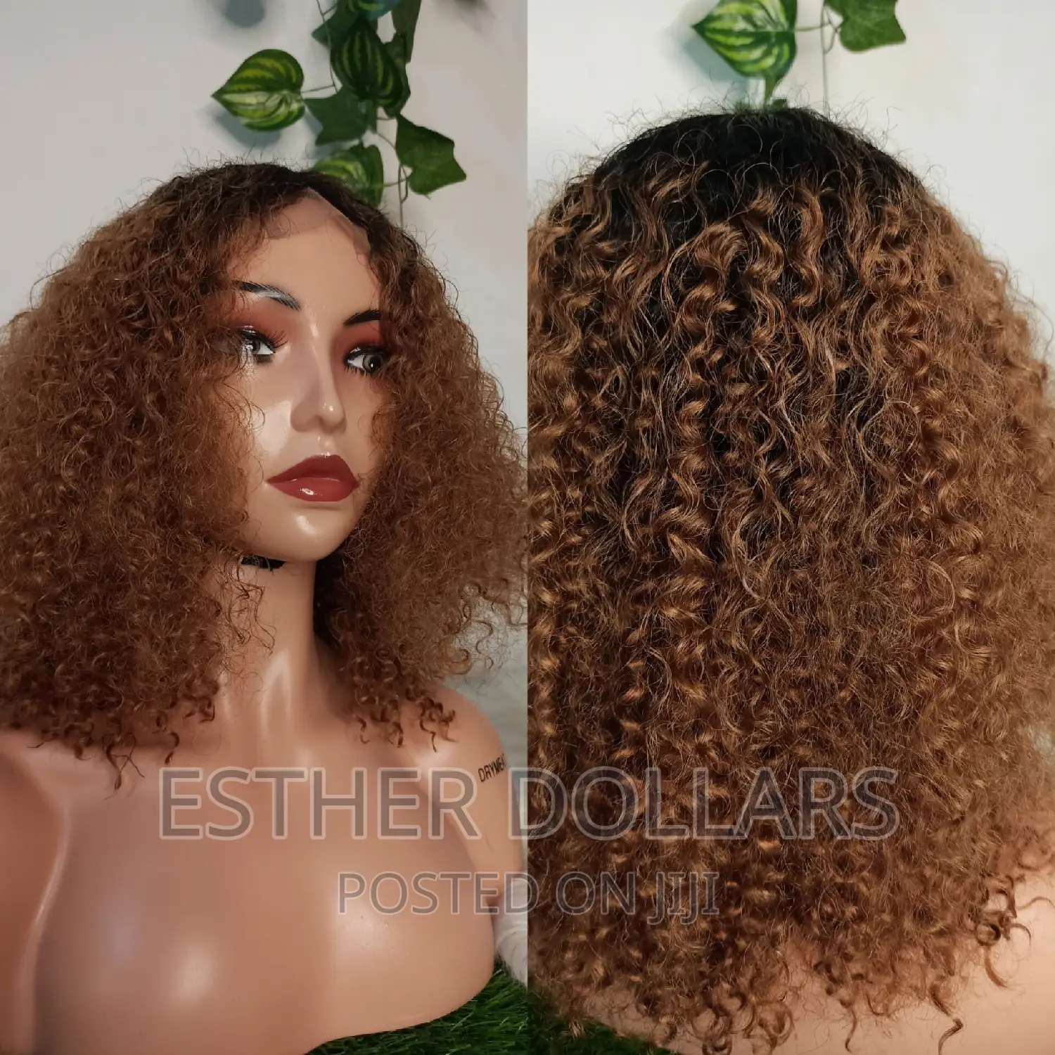 Two Tone Indian Curls