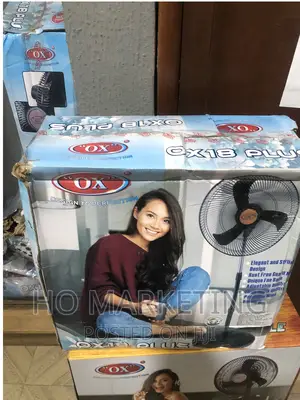 Black Satnding Fan Ox 18 Inches